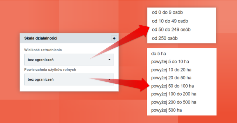 Screenshot 10 – So erstellst du eine Datenbank