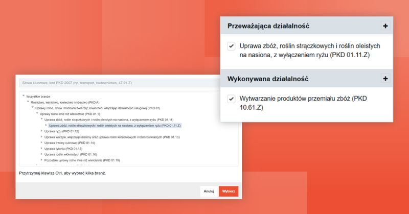Screenshot 5 – So erstellst du eine Datenbank